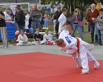 judo open airint126