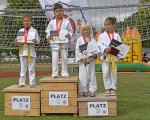 judo open airint137