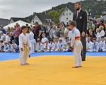 judo open airint139