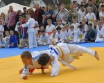 judo open airint141