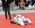 judo open airint145