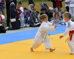 judo open airint151