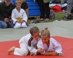 judo open airint155