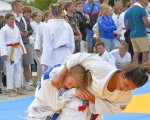 judo open airint164