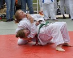 judo open airint165