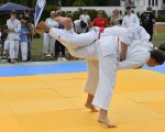 judo open airint175