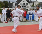 judo open airint179