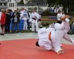 judo open airint180