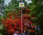 20260530 jungschuetzenfest 2026 jst