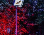 20260530 jungschuetzenfest 2026 jst