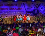 20260216 nok kinderkarneval 2026 jst