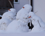 schneemaenner v der kneipe auf d nachhauseweg 20150201 1532746639