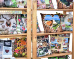 olsberger weihnachtsmarkt 2019 20191221 1074277887