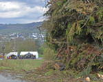 osterfeuer2025int110