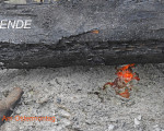 osterfeuer2025int117