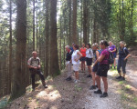 sauerlaender wanderlust 20190827 1373701411