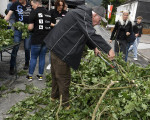 kraenzen beim koenigint118