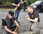 kraenzen beim koenigint135