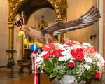 schuetzenfest 2018 20180610 1980577142