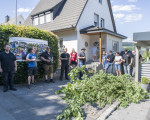 buesche holen 20200627 1521663311