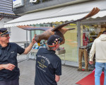 20240528 vogel abholen jst