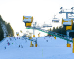 ski kompaktwoche des skiclubs olsberg 20190105 2086858153