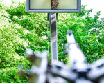 20250621 stangenabend 2025 jst