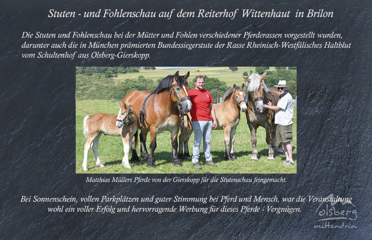 stutenschauint10167