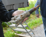 der bohrkopf 20190814 1413400376