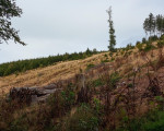 20230920 20230920 olsberg