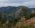 20230920 20230920 olsberg