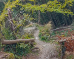20230920 20230920 olsberg