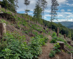 20230920 20230920 olsberg