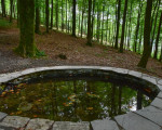 20230920 jst olsberg