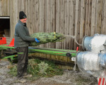 20231209 weihnachtsmarkt 2023   sonntag jst