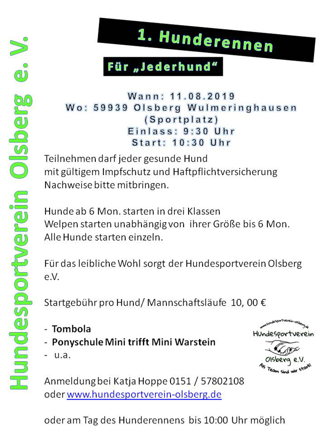 Hunderennen 2Web