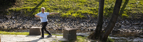 Qigong Dagmar BereiterWeb