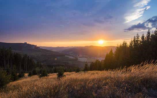 Waldbaden