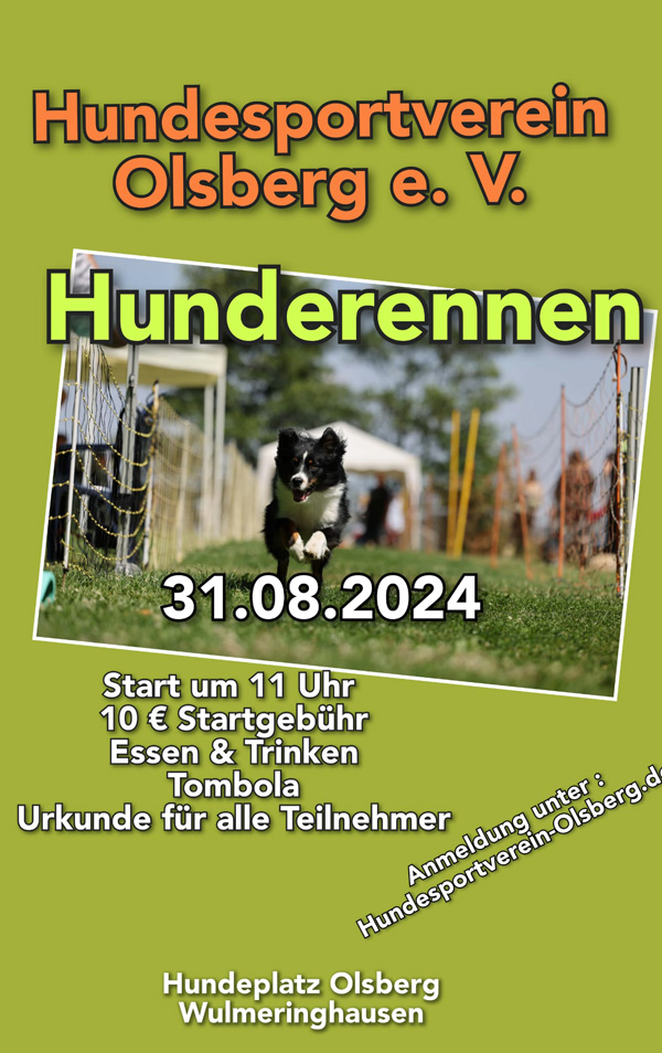 P Hunderennen24