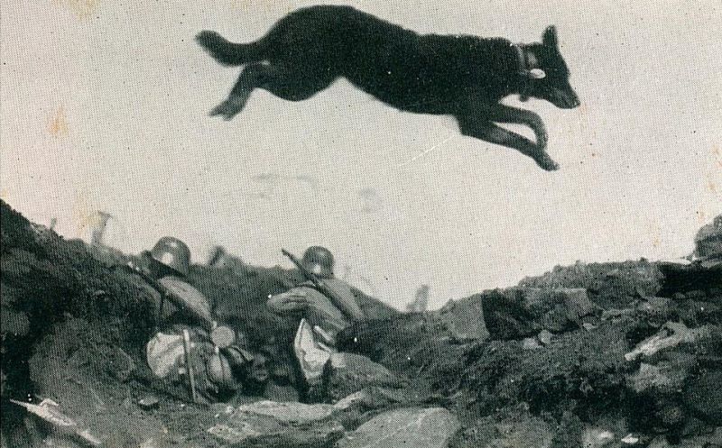 erster weltkrieg 19