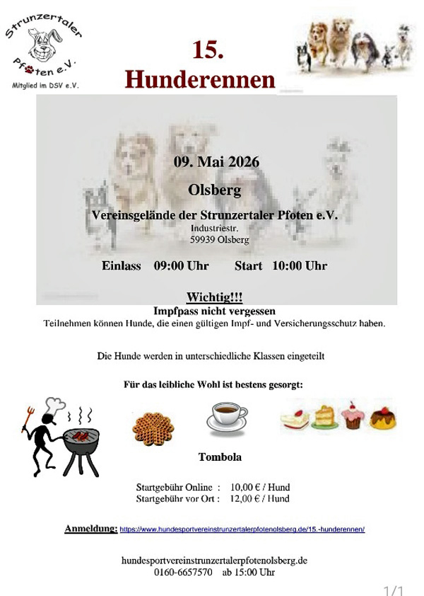 P Hunderennen26