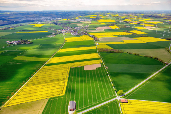 Börde ist eine Landschaft bei Badsassendorf im Kreis Soest.