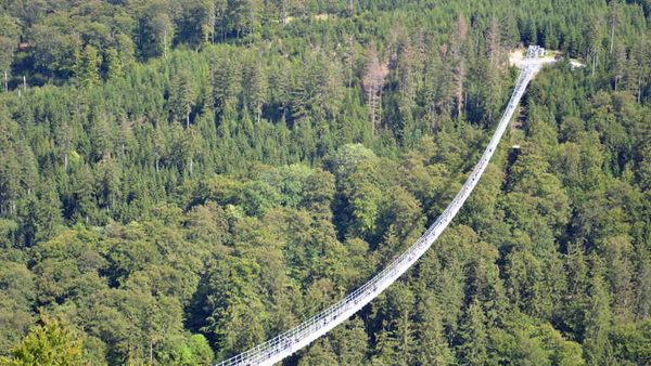 Skywalk24
